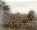 Plain outside Kapilavastu, Nepal, October 1914.