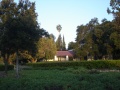 Gardens and library entrance