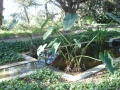 Fountains behind library