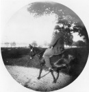 WQJ on donkey